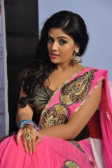 Prema Ishq Kaadhal Audio Function